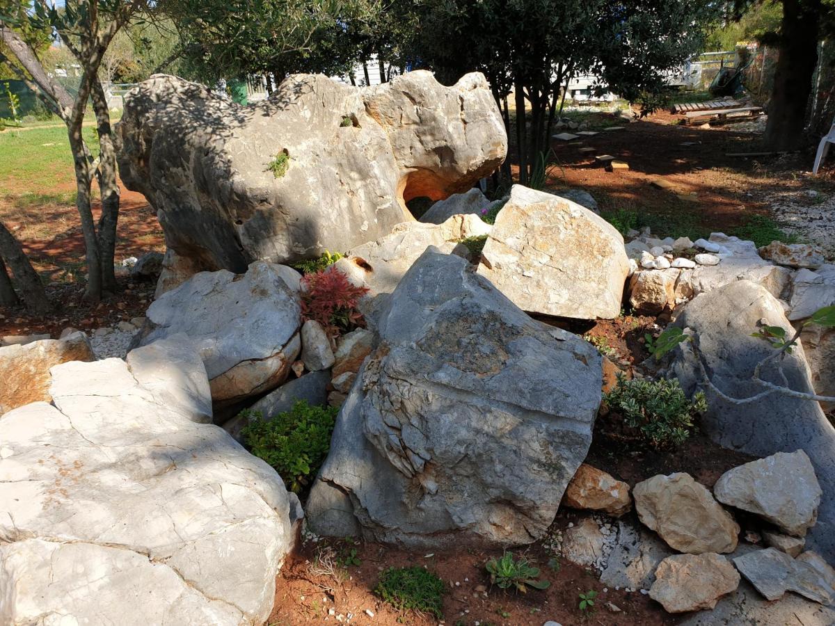 אוגייאן Olive Apartments מראה חיצוני תמונה