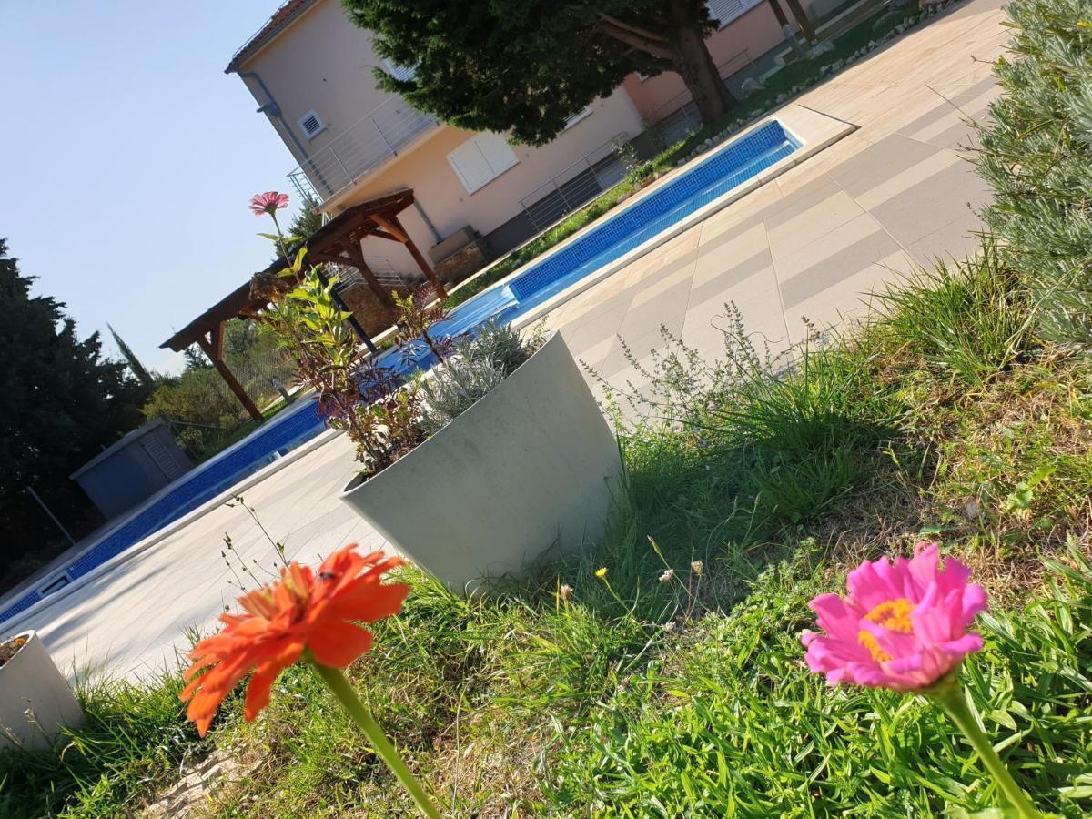 אוגייאן Olive Apartments מראה חיצוני תמונה