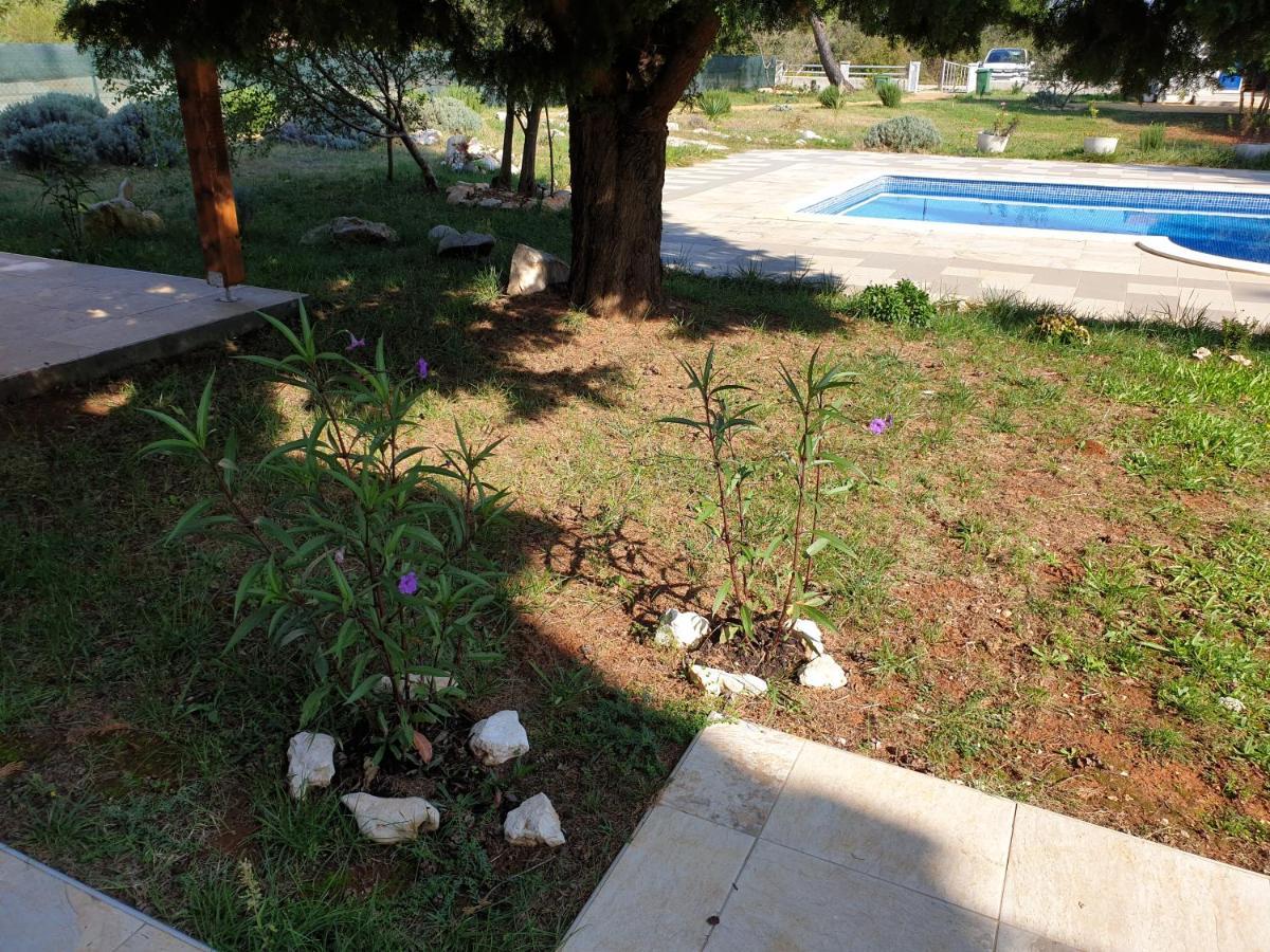 אוגייאן Olive Apartments מראה חיצוני תמונה