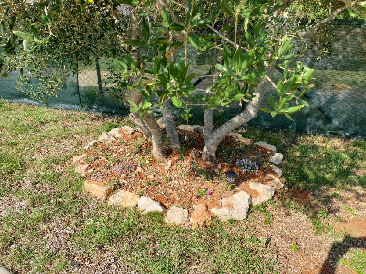 אוגייאן Olive Apartments מראה חיצוני תמונה