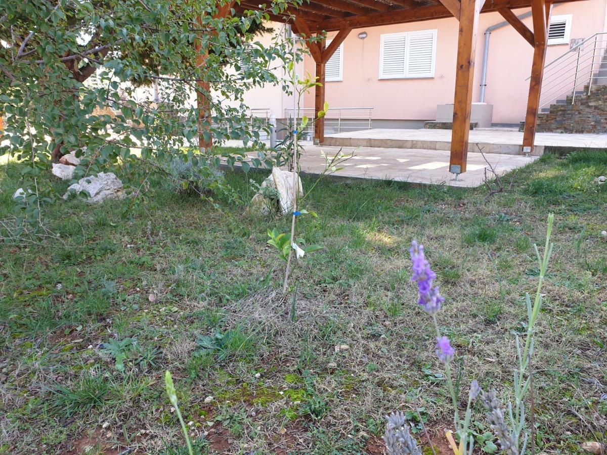 אוגייאן Olive Apartments מראה חיצוני תמונה