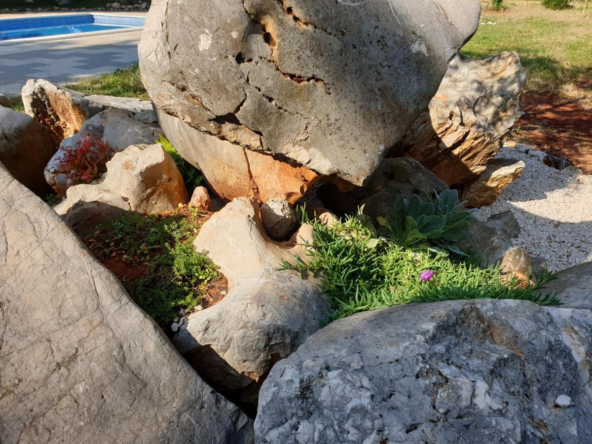 אוגייאן Olive Apartments מראה חיצוני תמונה