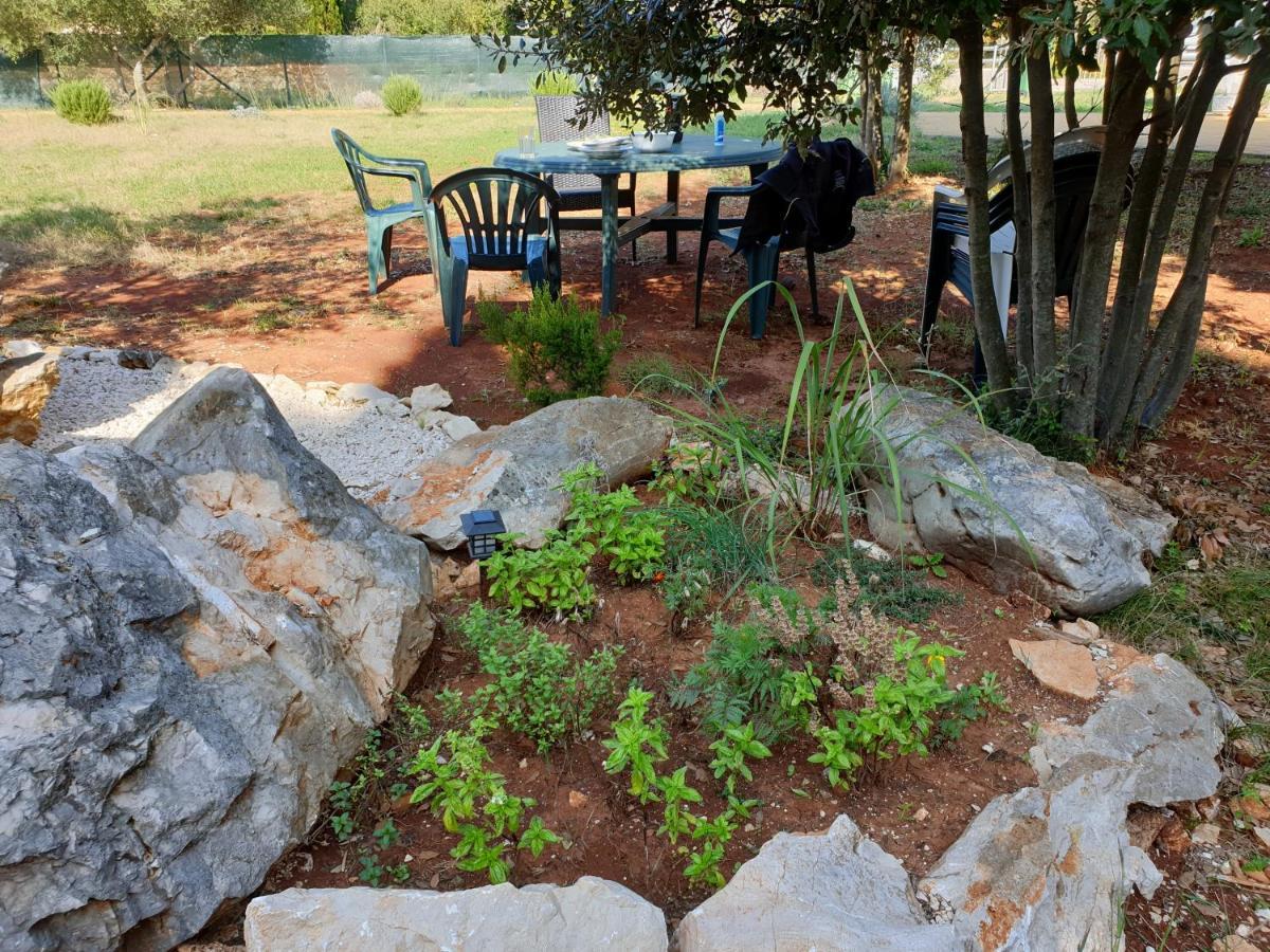 אוגייאן Olive Apartments מראה חיצוני תמונה