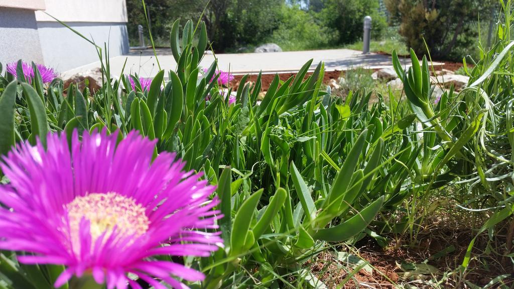אוגייאן Olive Apartments מראה חיצוני תמונה