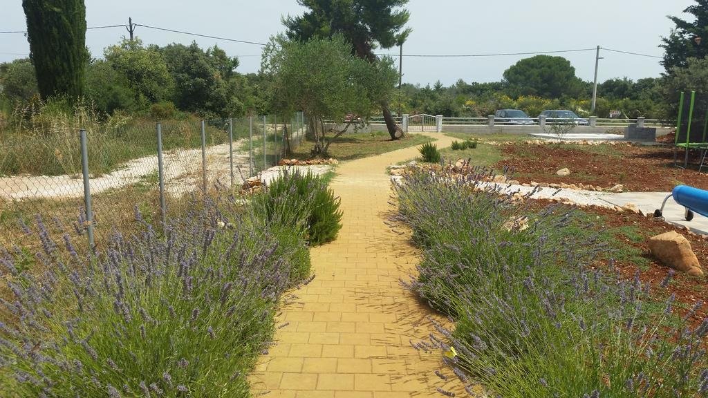 אוגייאן Olive Apartments מראה חיצוני תמונה